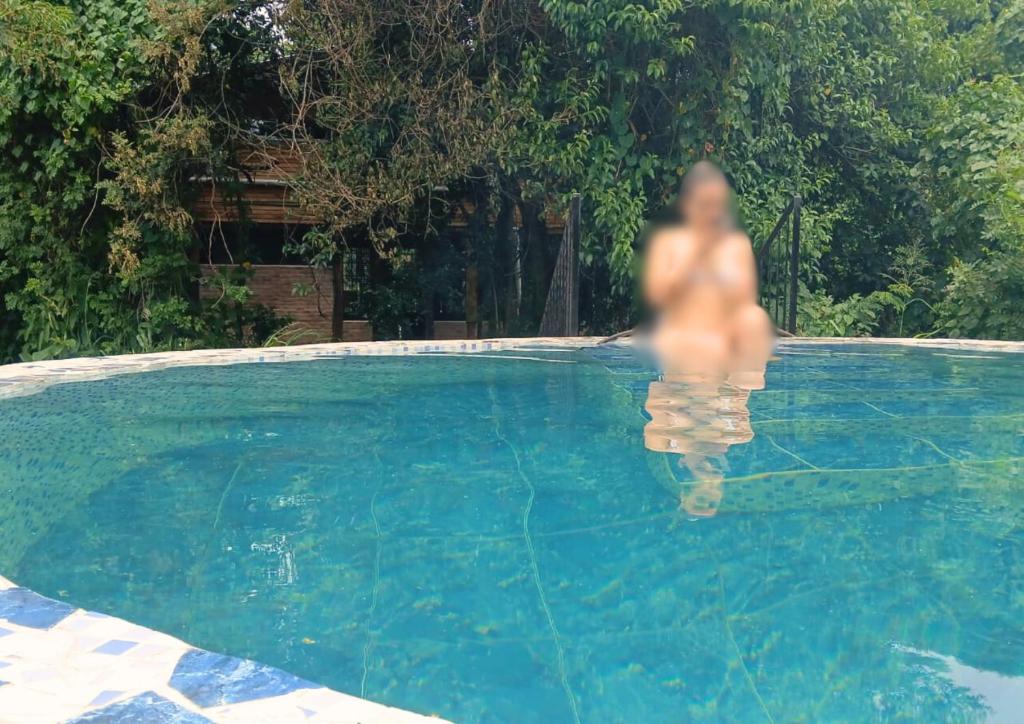 Casa en la selva - 2