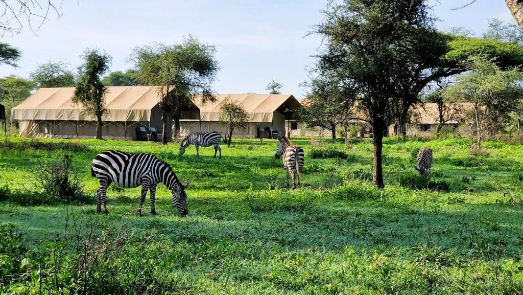 Africa Safari South Serengeti Ndutu Camping，位于Sinoni的酒店