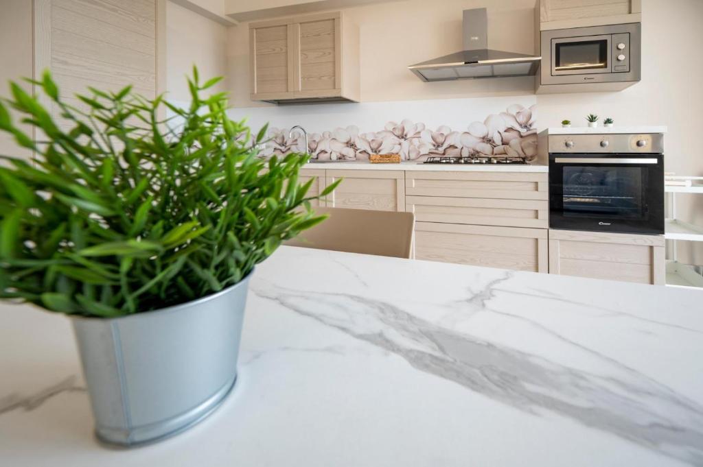 Campisi Luxury Apartments - 5