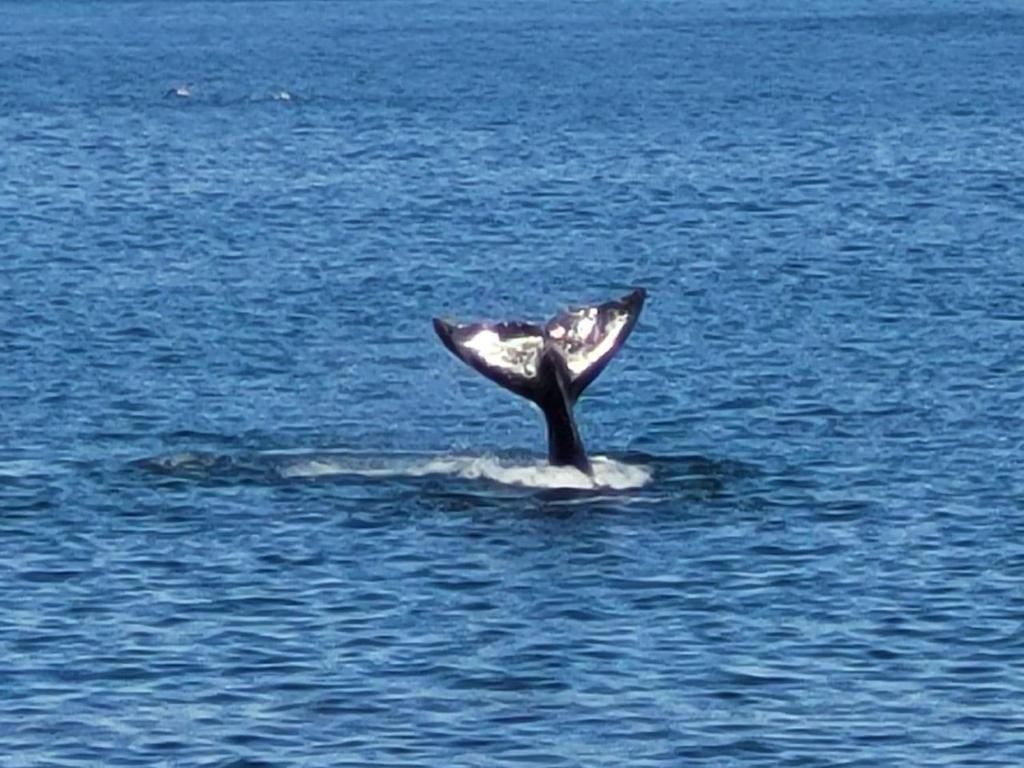 Destino Mar - 5