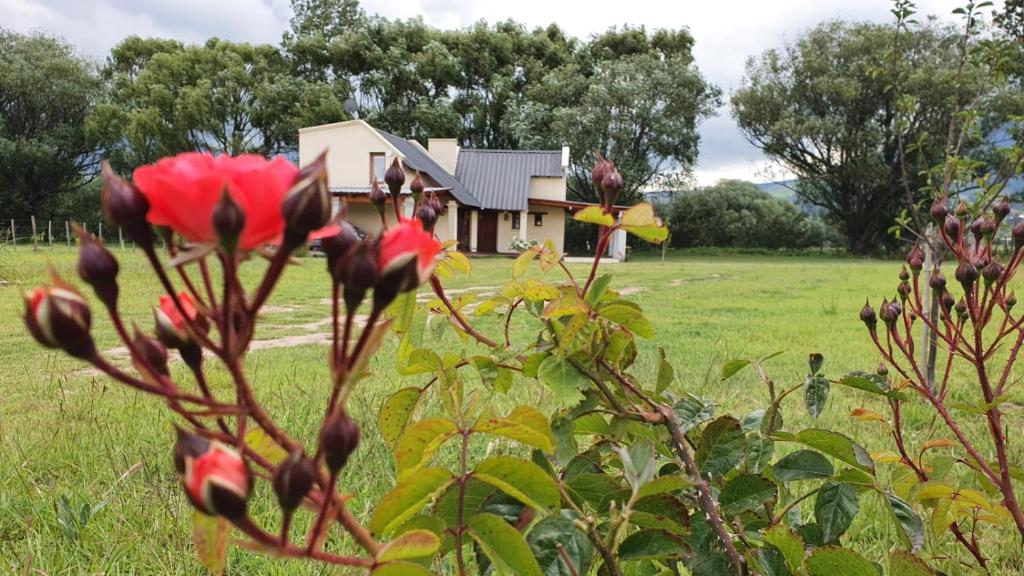 Cabañas Viditay - 3