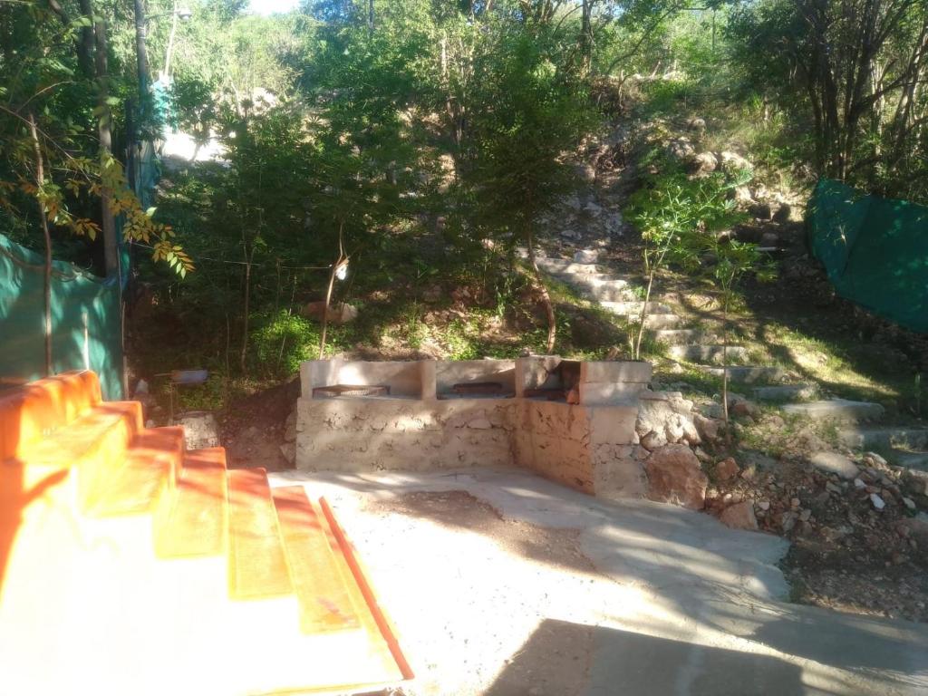 Campamento Monarcas - 4