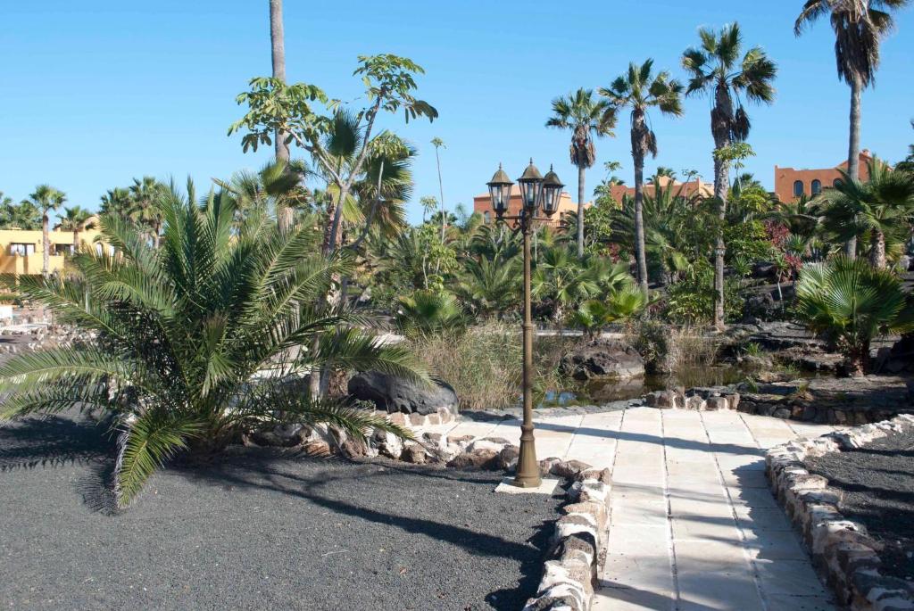 Relax in this Stunning 1-Bedroom Apartment in Corralejo - 5