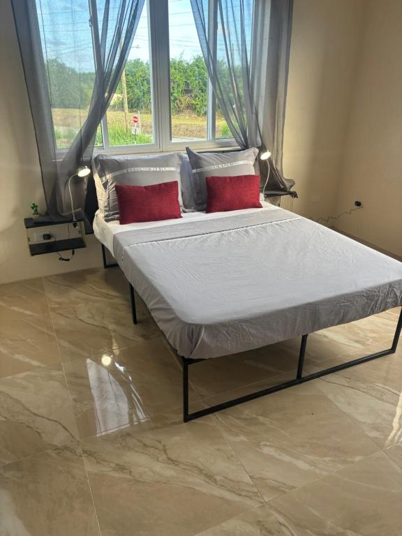 Ảnh 4