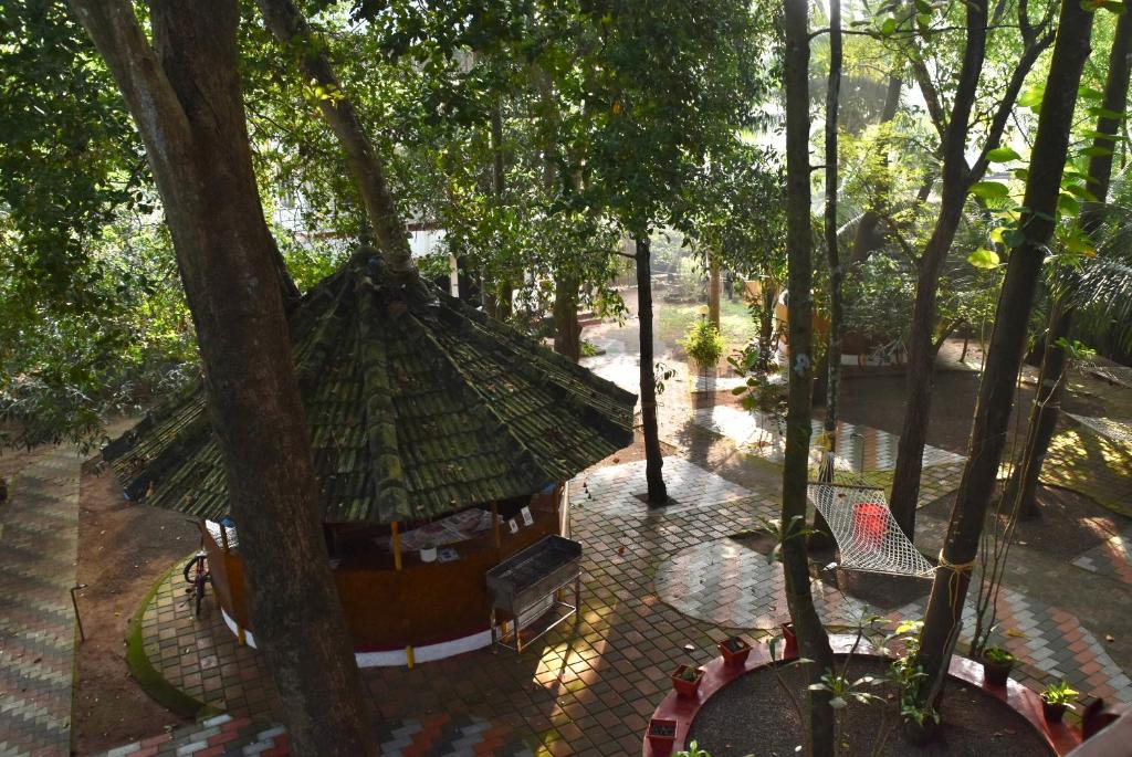 Surrounding environment