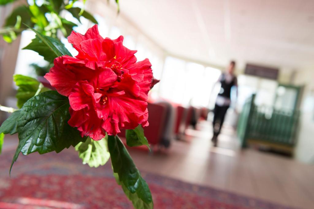 Best Western Hotell Lerdalshoejden photo