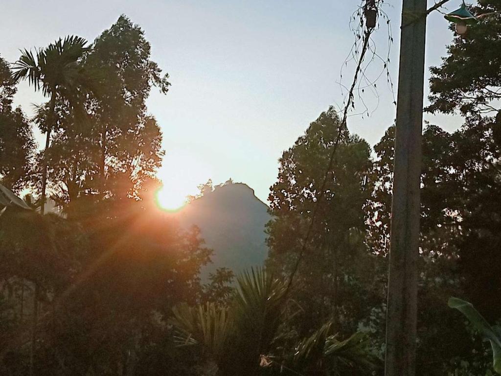 Littleadams View, Ella