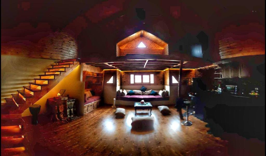 The Tree House, Sheikh Zayed