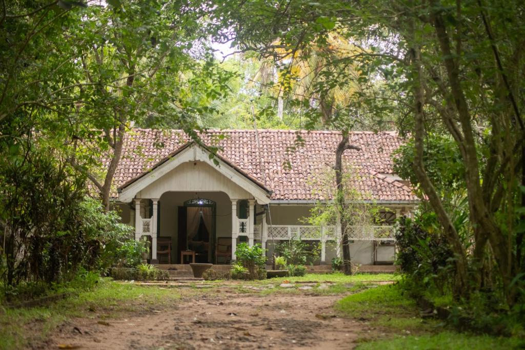 Cadjan Sacred Anuradhapura, Anuradhápura