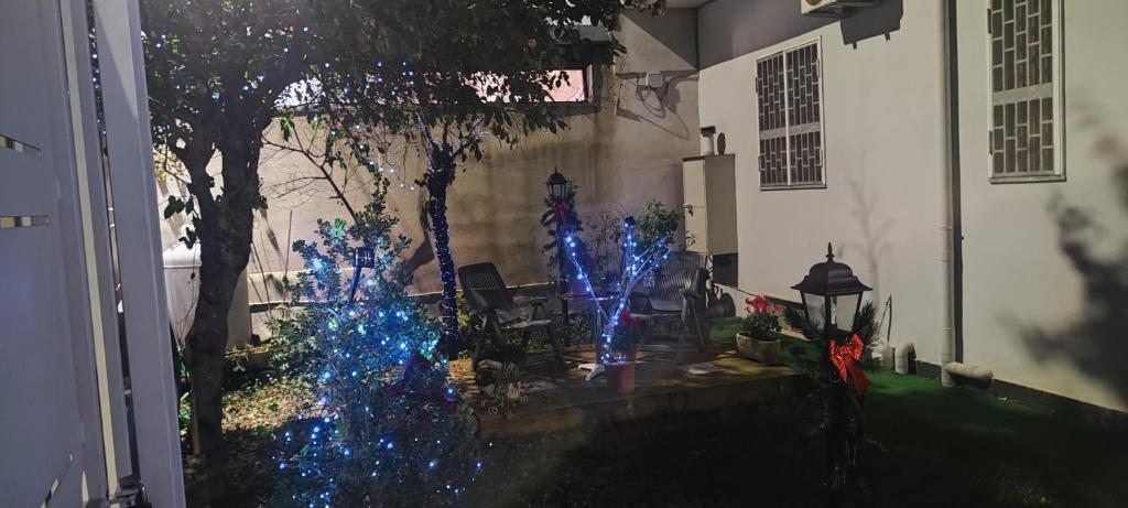 Domus Parva, appartamento con giardino - 5