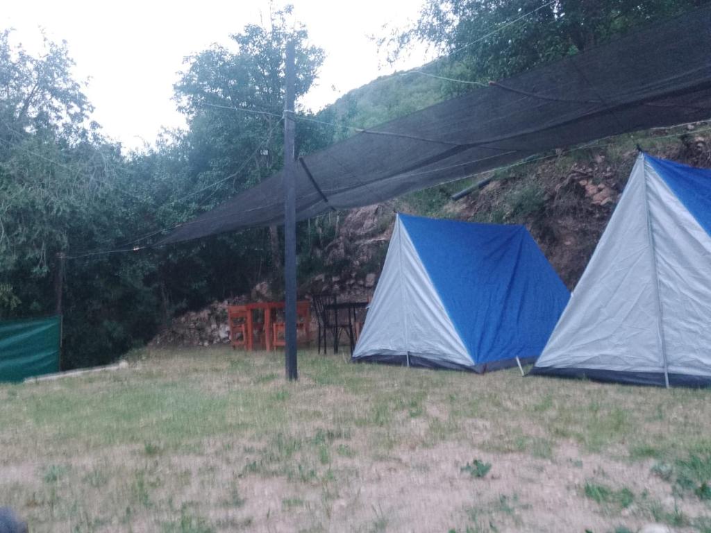 Campamento Monarcas - 2