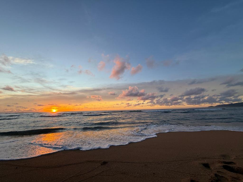 Sunrise Hale at Islander on the Beach 329 A Oceanfront View Studio with AC, Kapaa