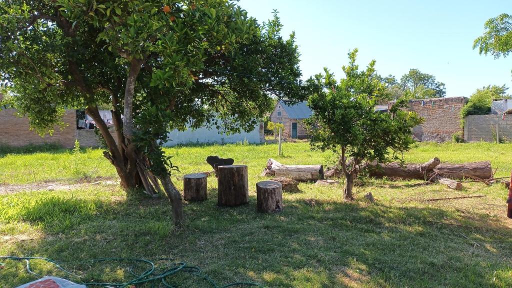 Amplia en centro de San Gregorio - 4