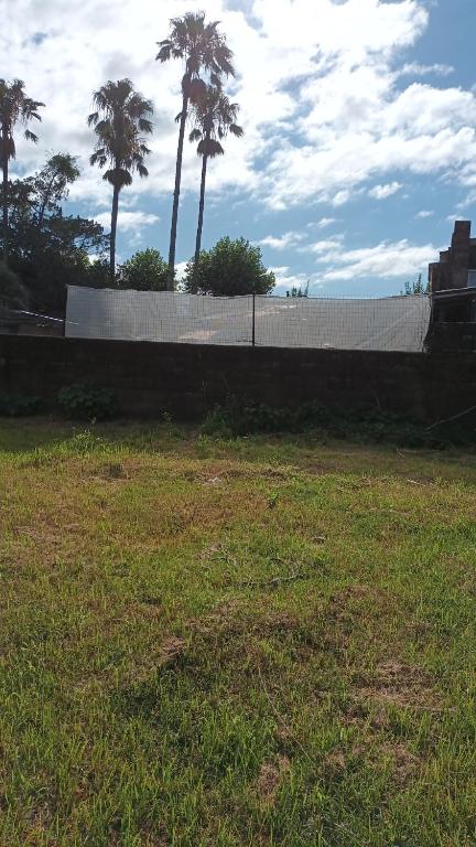 Amplia en centro de San Gregorio - 5