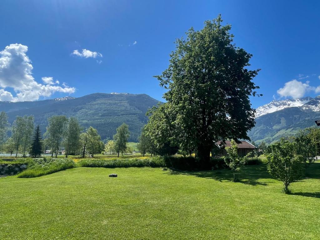 Apartment Haus am See - 5