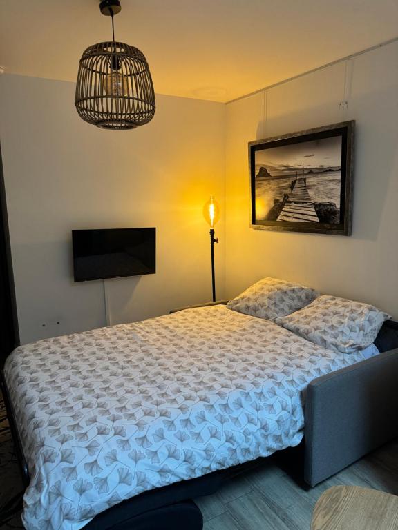 Appartement cosy face à la basilique Saint Remi - 5
