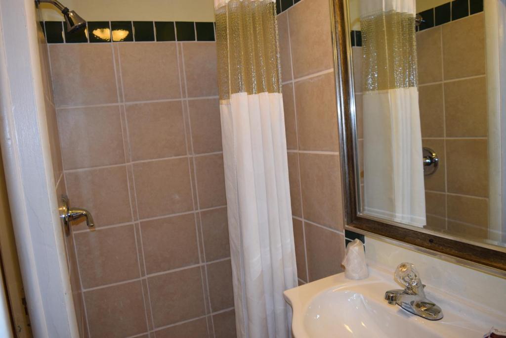 Starlite Motel photo