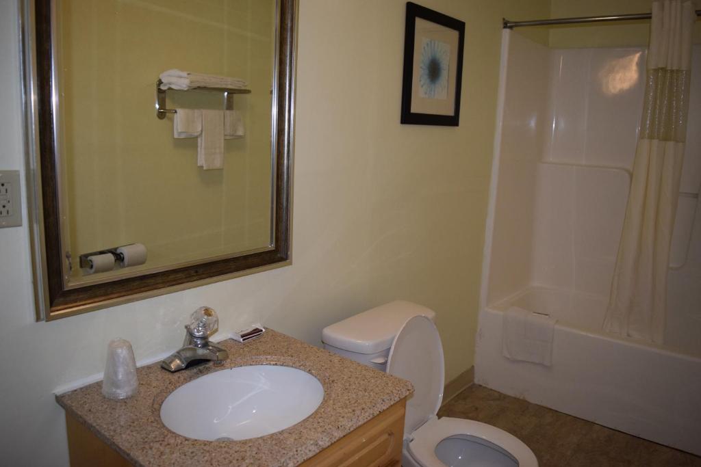 Starlite Motel photo
