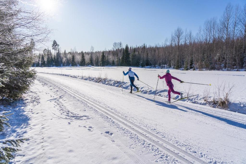 Sports and activities