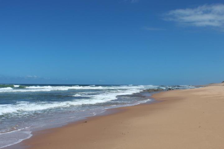 Paddy's Place, Zinkwazi Beach