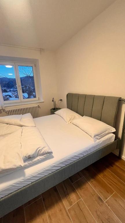 Trentino Apartments - Villa orso Bruno - 5