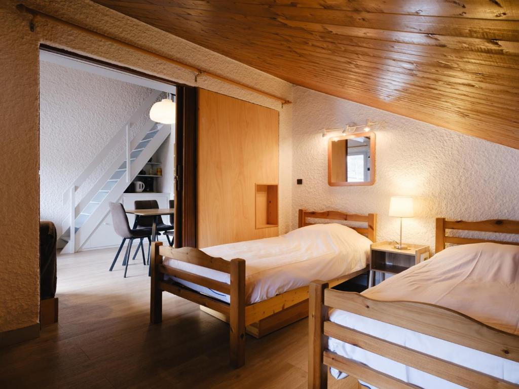 Studio charmant proche pistes, animaux acceptés - FR-1-304-208 - 5