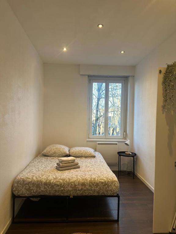 Le 11 - Joli F2 rénové, Mulhouse centre - stationnement gratuit - 5