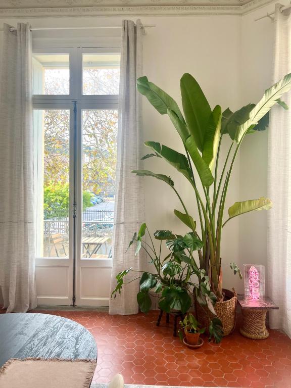 L'échappée sètoise - Appartement Haussmannien - localisation exceptionnelle - proche canal - 3
