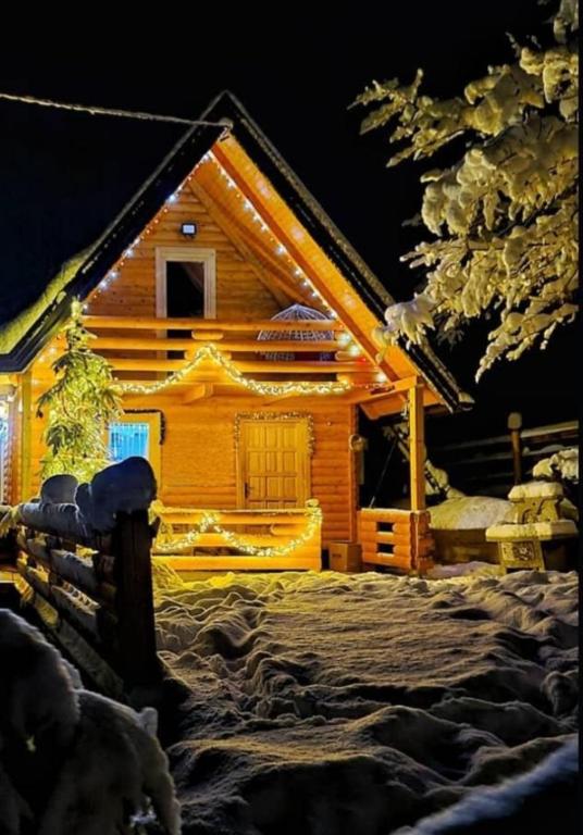 Zelena čarolija, Bioštica