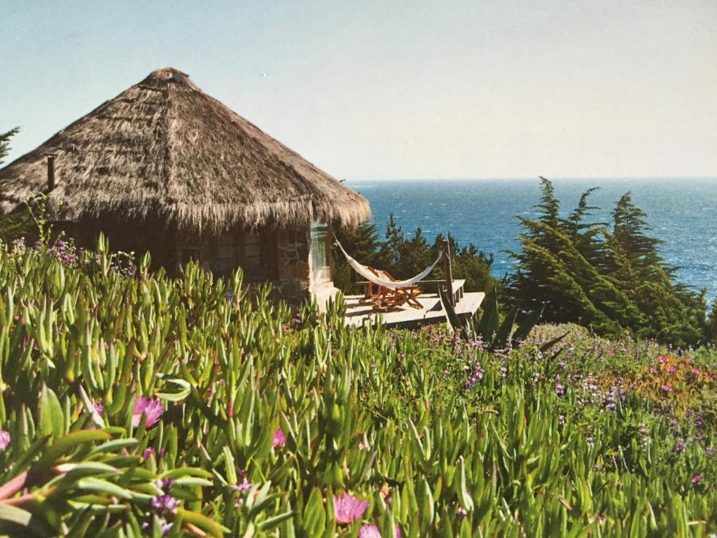 Club El Tebo - 3