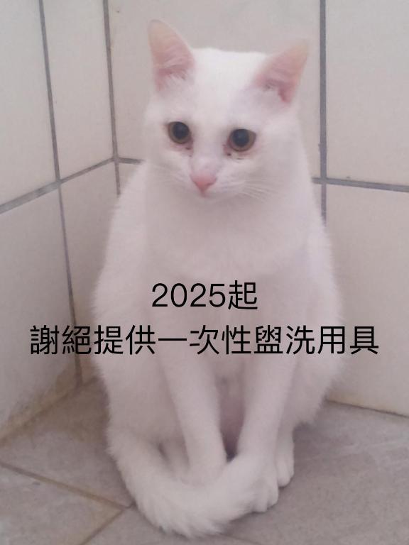 自然海naturalhigh, Dahan