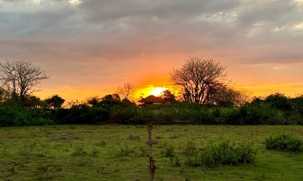 OUTSIDE bungalow 이미지