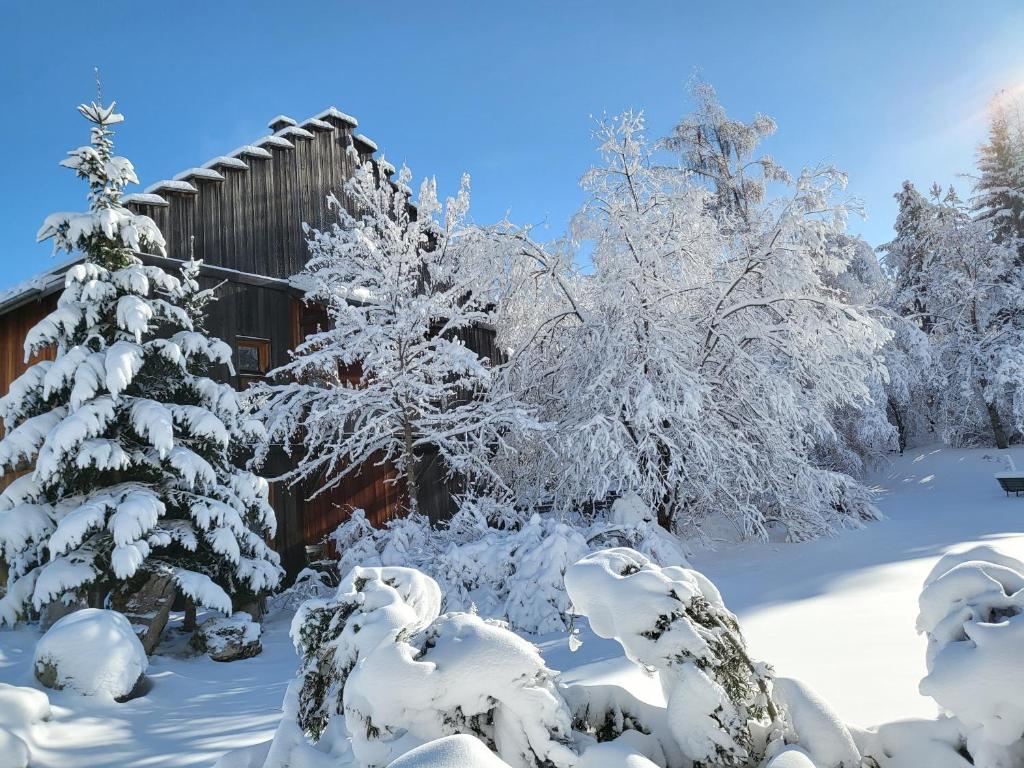 Hotel du Golf - 4
