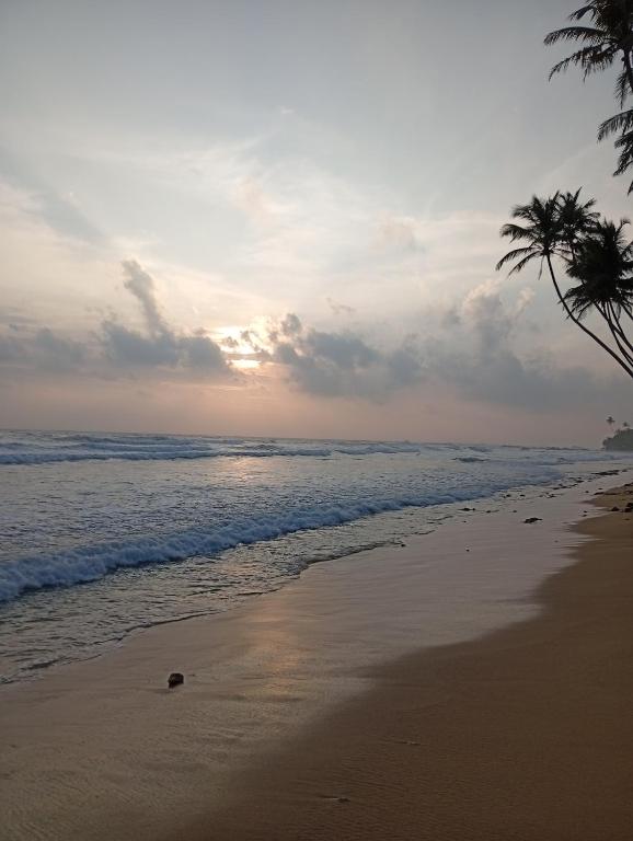 Rangana Beach Rest, Talpe