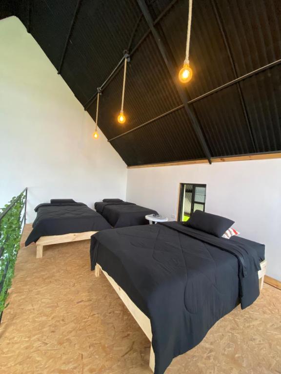 Cabaña los eucaliptos - 3