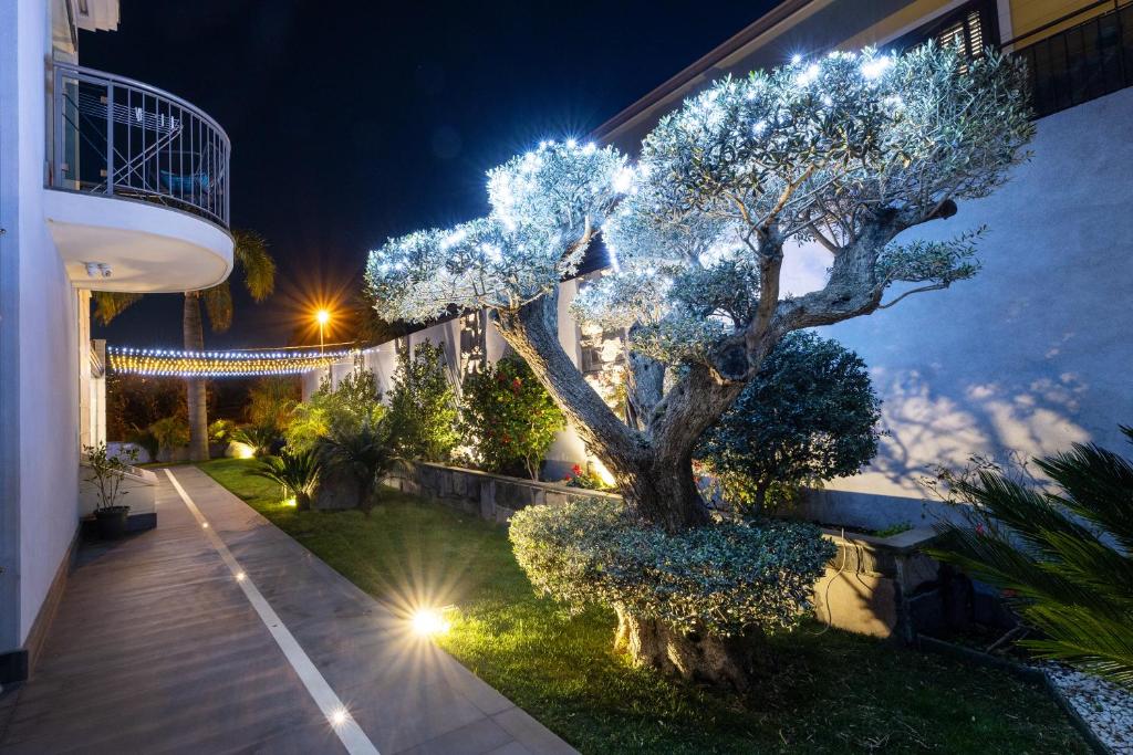 Zaffiro Lavico rooms Etna nature sea - 5