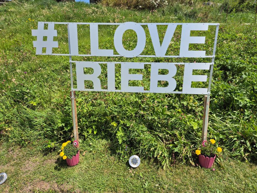 Riebe 331 - 2