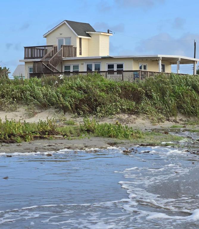 Pelicans and Flip Flops, Galveston