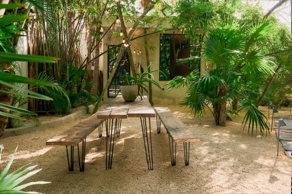 Garden, Amor Rooms in Tulum