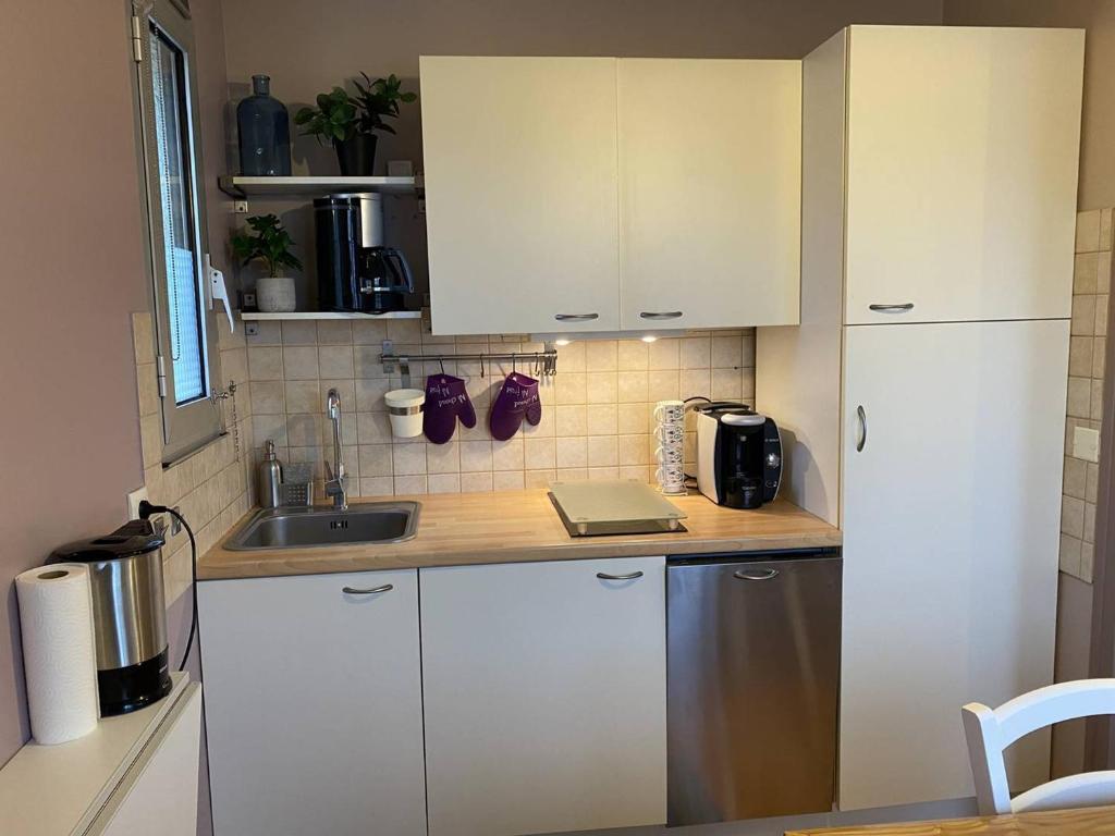 Appartement rénové à 20m de la plage Trestraou, 2 ch, court séjour possible, animal accepté - FR-1-368-444 - 2