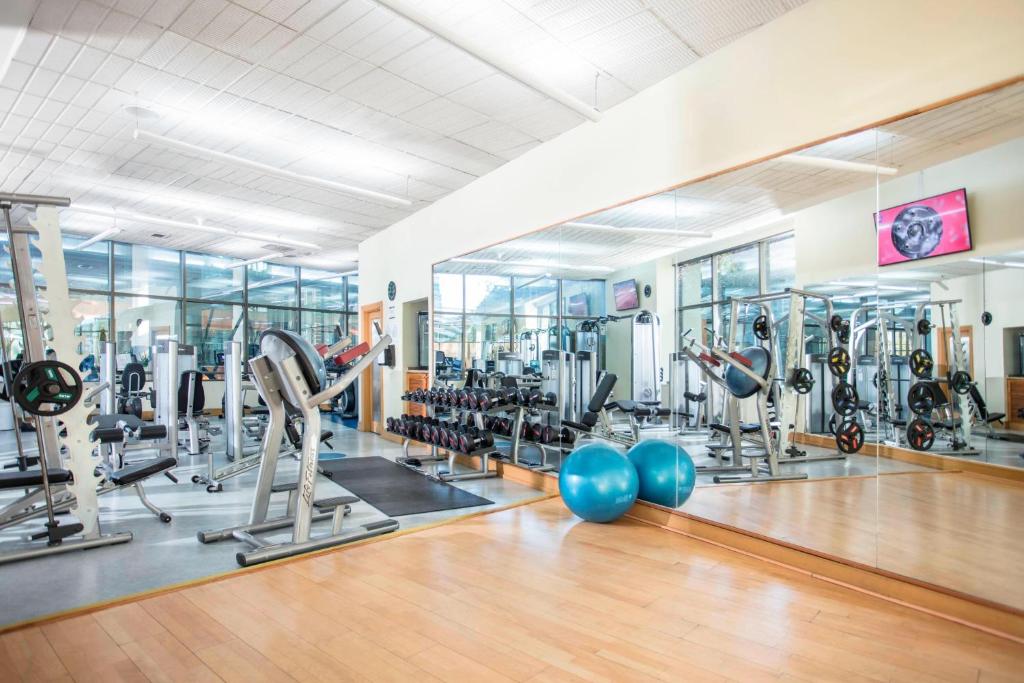 Gimnasio