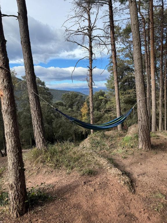 Cabañita de madera en Mas Coguleras, Sant Jaume de Llierca