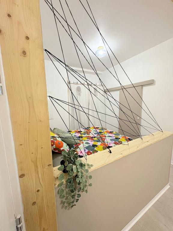 Appartement dans le cœur de Pau - 4