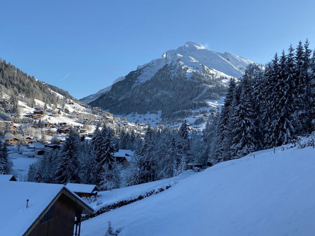 Everest Appt 6 pers ski aux pieds - 3