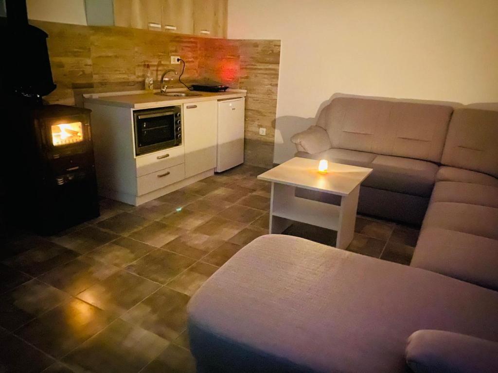 dr Genius Cottage, Negotin