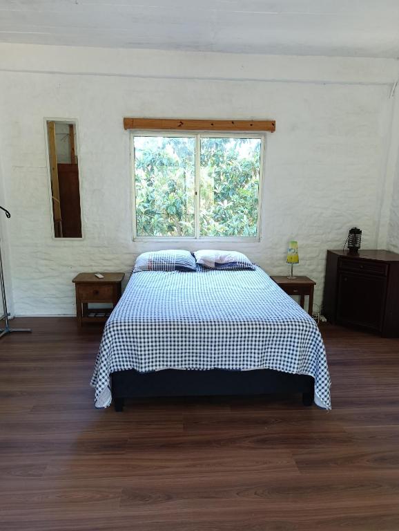 casa y monoambiente Britopolis - 5