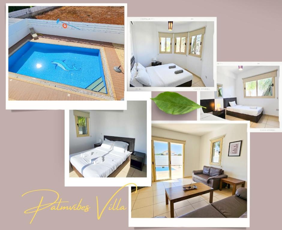 Palmvibes Villa, Paralimni