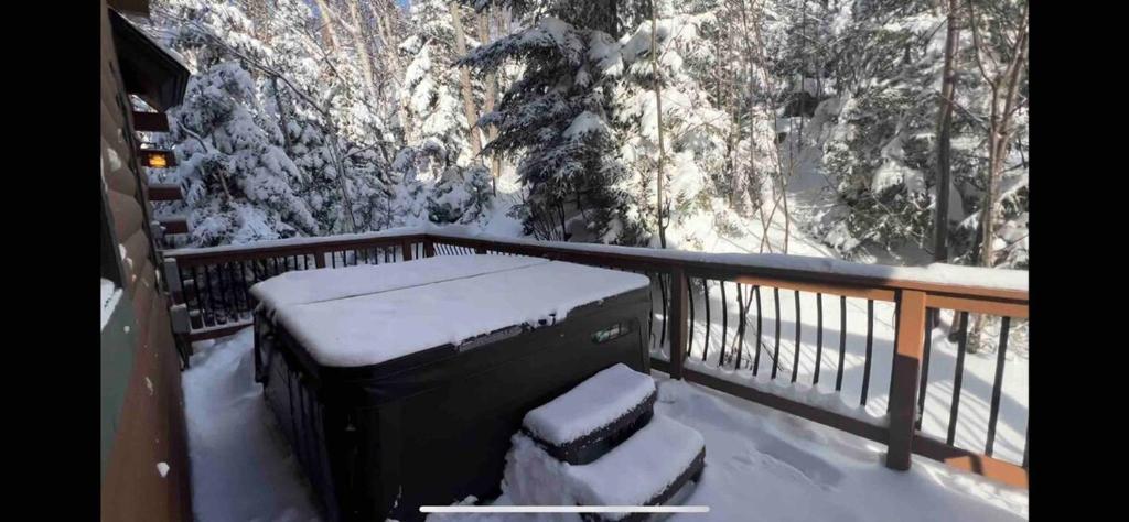 The Apartment at the Slopeside Estate House - Ski On Ski Off, Hot Tub, Mountain Views, Killington