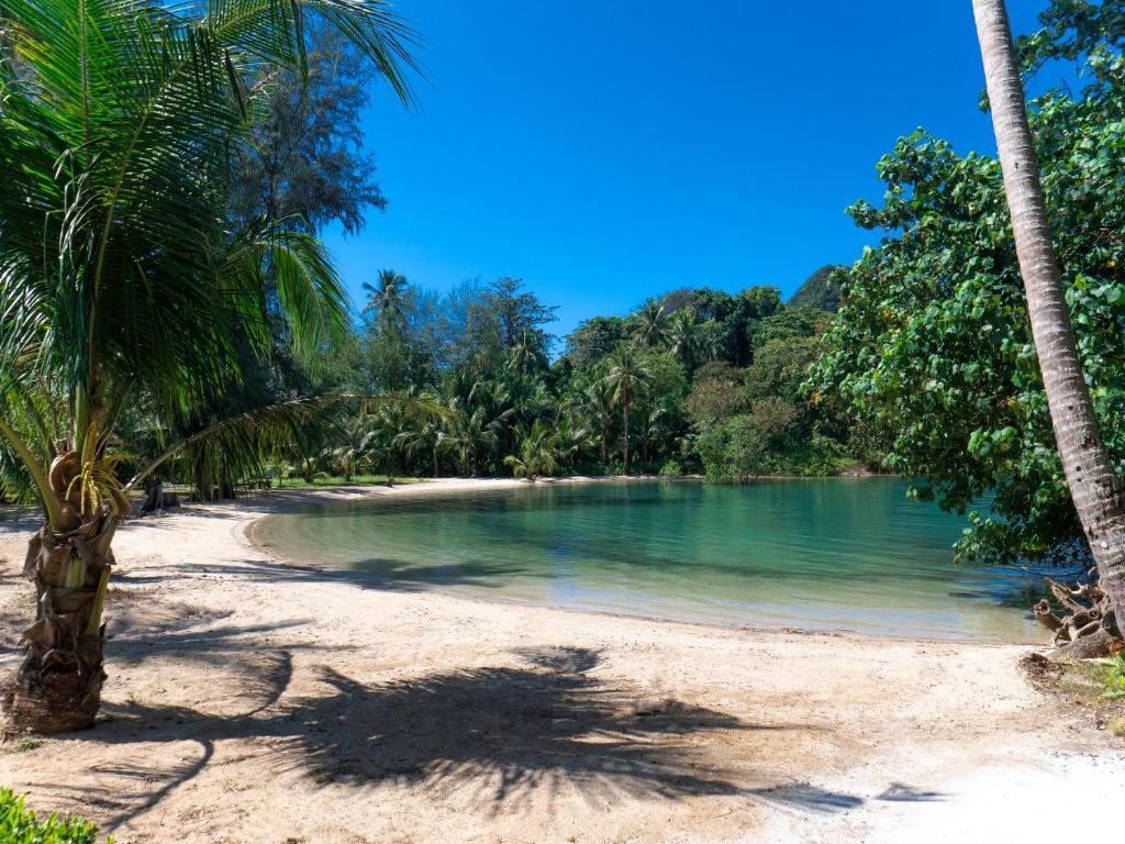 Surrounding environment