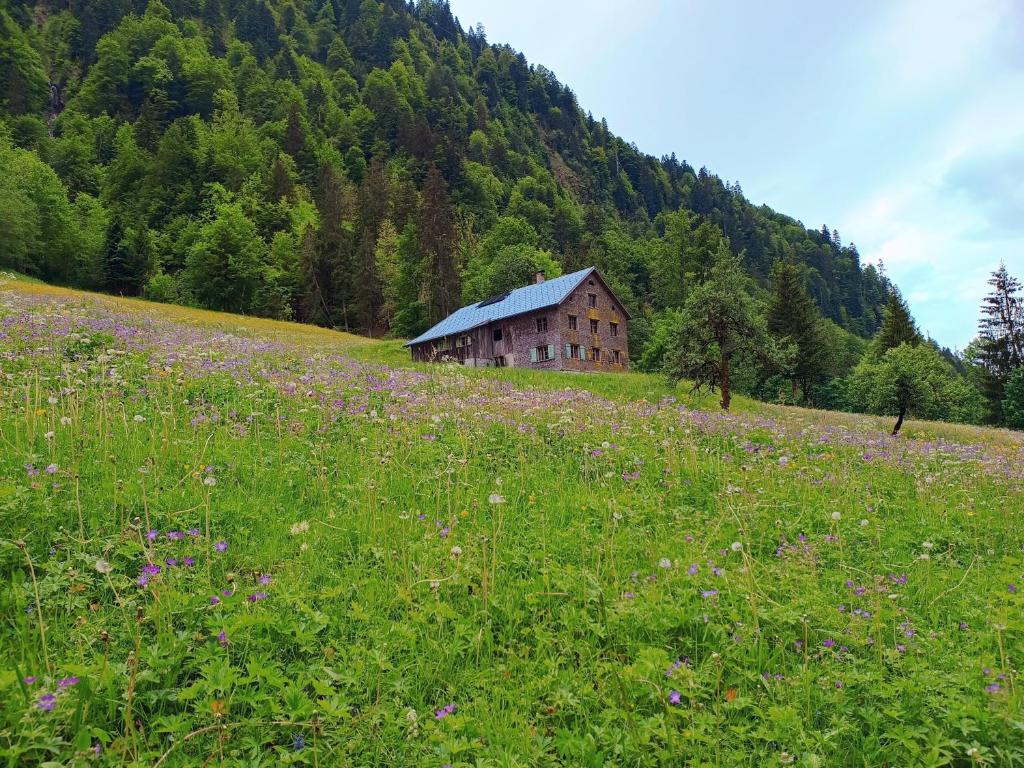 Ferienhütte See 4, Seeberg